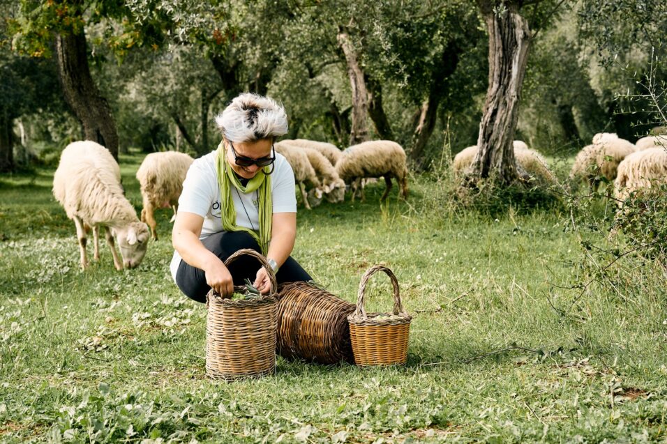 254710534_4792141214138644_1304038485317952862_n