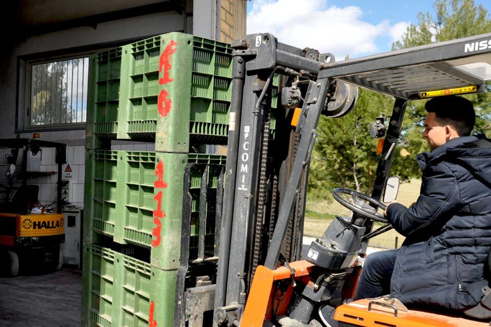 Oleificio Abbate & Figli